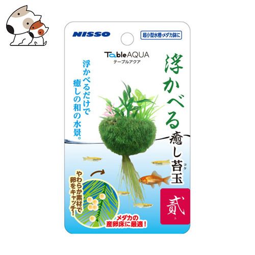 楽天市場 ニッソー 浮かべる癒し苔玉 貳 ペッツマム