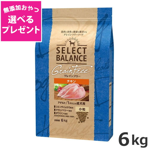 【選べる無添加おやつプレゼント】ベッツ・チョイス セレクトバランス グレインフリー アダルトチキン 小粒 1才以上の成犬用 6kg｜ペッツマム