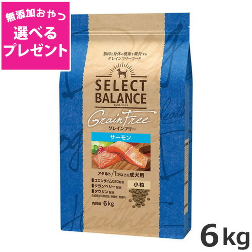 【選べる無つけ加えるお兄ちゃん差し上げ物】ベッツ・チョイス より分ける平衡にする グレインフリー 成年者秋味 微粒子 1才以上の成犬用 6kg