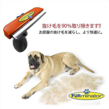 新品登場 ライトハウスファーミネーター超大型犬xlサイズ短毛種用 Web限定 新品登場 ライトハウスファーミネーター超大型犬xlサイズ短毛種用 Web限定