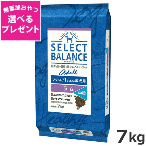 【選べる無添加おやつプレゼント】ベッツ・チョイス セレクトバランス アダルト 1才以上の成犬用 ラム 中粒 7kg