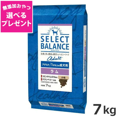 【選べる無添加おやつプレゼント】ベッツ・チョイス セレクトバランス アダルト ラム小粒 7kg