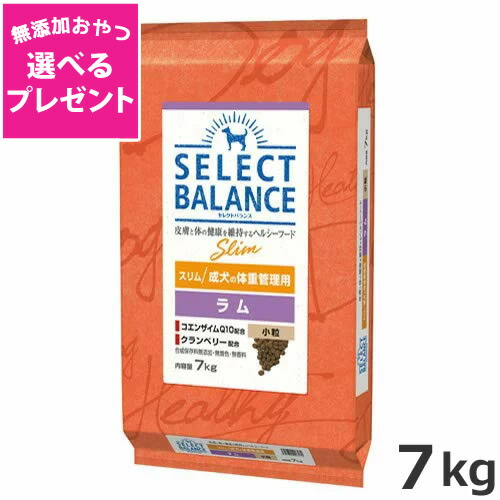 【選べる無つけ加えるお兄ちゃん差し上げ物】ベッツ・チョイス 選りすぐる平衡にする か細い 子ヒツジ 微粒子 7kg 犬用品-ドッグフード