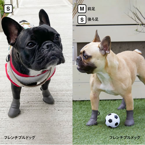 爆買い新作 ピカコーポレイション ペットアドバンス 犬用レインブーツ パウテクト Mサイズ ダークブラウン 2個入り 犬の靴 肉球保護 雨の日 通気孔なし Washandlearn Us