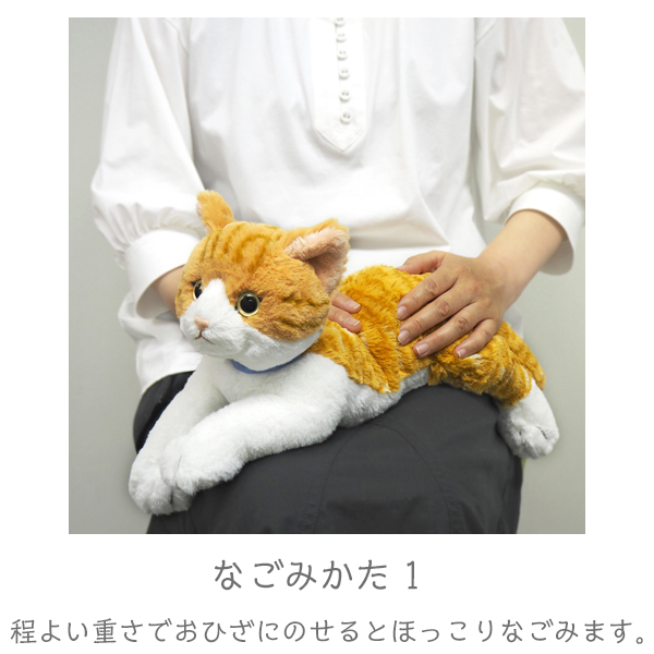 市場 ひざねこ チャシロ ぬいぐるみ M ペット用品