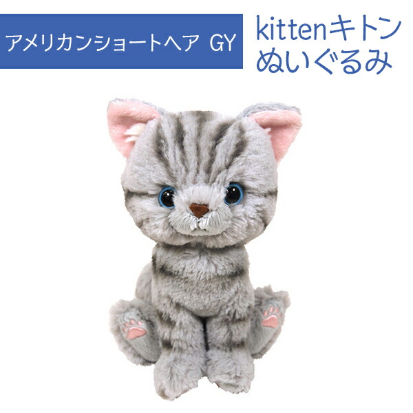 kitten-p7521-01.jpg
