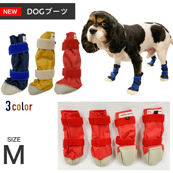 今月使えるお得なクーポン券！6月30日まで