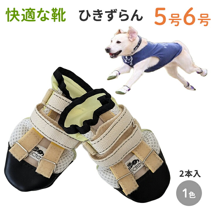 今月使えるお得なクーポン券！6月30日まで