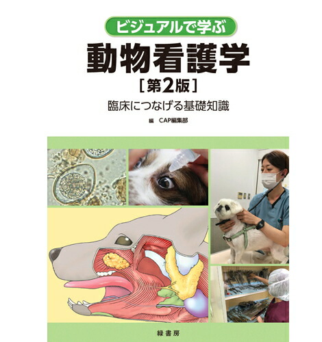 楽天市場】as BOOKS 今さら聞けない! 動物医療の基礎知識 [単行本