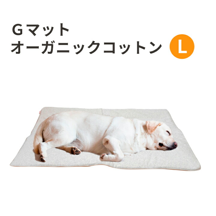 今月使えるお得な引き換え証！6月30日まで