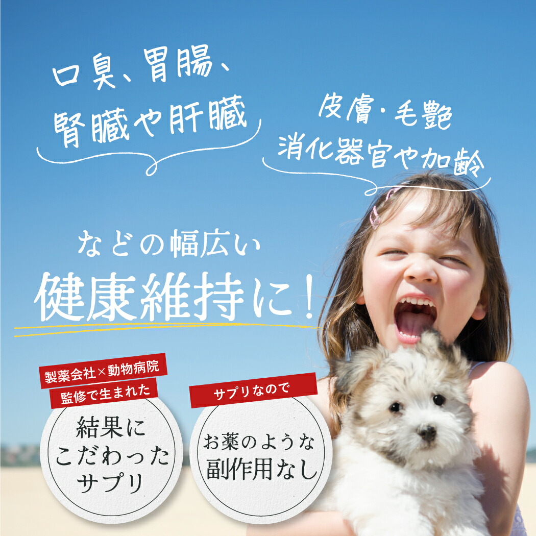 楽天市場】アゾディル 90cap 1本 犬猫用サプリメント 全国クール便送料無料 腎臓サプリ S2024-001K : ペットサプリ館 楽天市場店