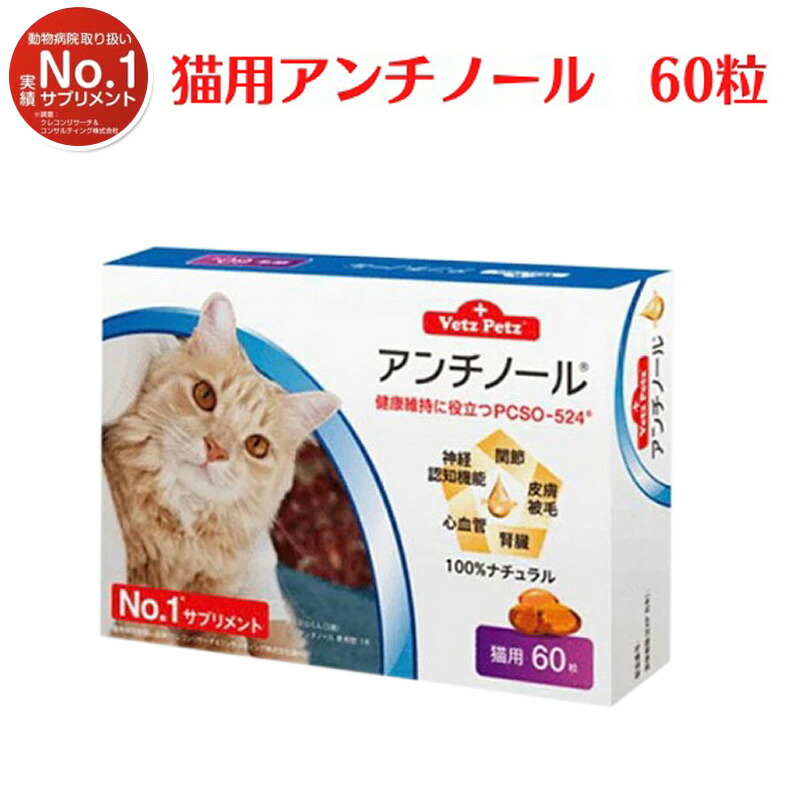 市場 お買い物マラソン限定 関節 ポイント5倍 健康 60粒 心血管 猫用アンチノール 腎臓