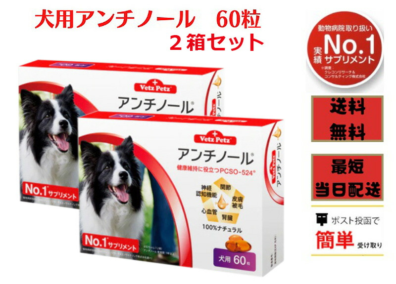 市場 お買い物マラソン限定 2箱セット 健康 犬用アンチノール 関節 腎臓 ポイント5倍 60粒