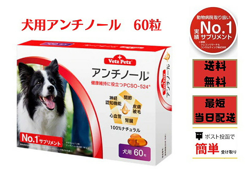 お買い物マラソン限定 ポイント5倍 犬用アンチノール 関節 腎臓 健康 60粒 心血管