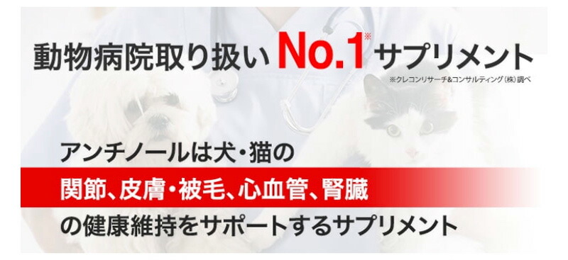 市場 お買い物マラソン限定 2箱セット ポイント5倍 腎臓 関節 60粒 犬用アンチノール 健康