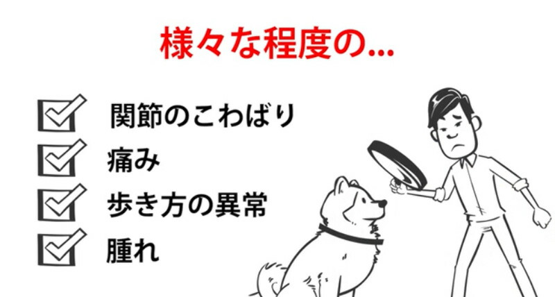 市場 お買い物マラソン限定 2箱セット ポイント5倍 腎臓 関節 60粒 犬用アンチノール 健康