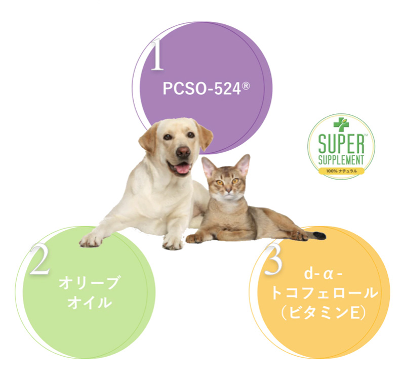 として アンチノール 犬用 60粒 4箱〈おまけ付き〉の通販 by ミーナ