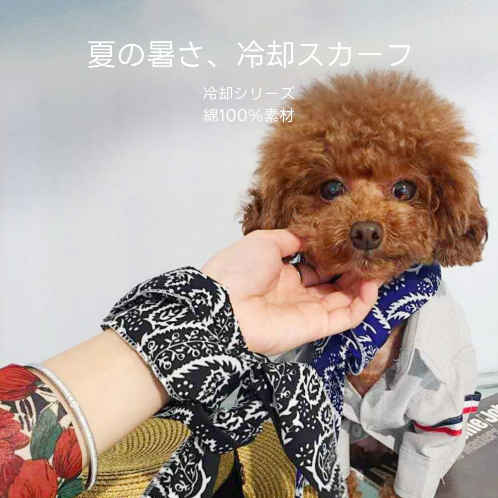 楽天市場】PETTENA 冷感タオル ひんやりタオル 犬 バンダナ ネック