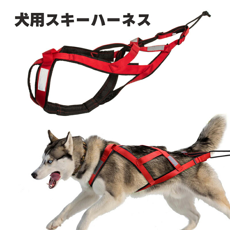 【楽天市場】犬ぞり用ハーネス 犬用 ハーネス 犬用スレッジハーネス スキー牽引用 反射テープ付き 犬用スキー ハーネス 牽引ロープ セット 滑