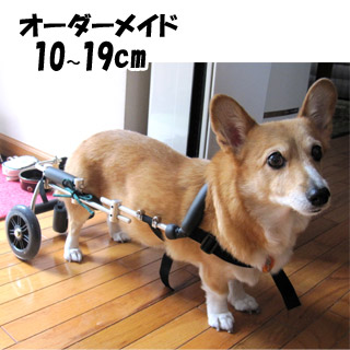 驚きの値段 楽天市場 犬の車椅子 わんだふるウォーカー オーダーメイド 10cm 19cm 小型犬 送料無料 ペットベリー 楽天市場店 豪華 Lexusoman Com