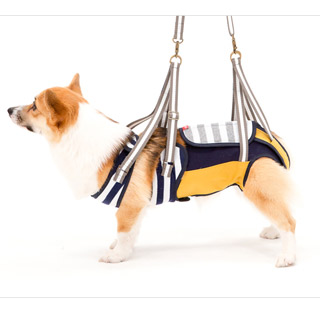 安い割引 マスタード Cm ボーダー Lalawalkコーギー With 歩行補助ハーネス 犬用品 Pgwta Www Districtscooters Com