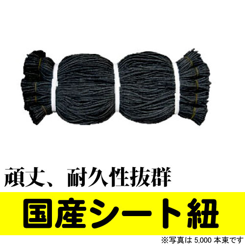 国産　シート紐　80cm　ブラック(5,000本入)　PE結束紐850D　黒色　頑丈、耐久性抜群　足場　仮設　防音シート 　建築　シートひも 送料無料【Z】