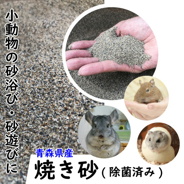 チンチラ フード  小動物 遊び砂 Sand club チンチラ 浴び砂 1.5㎏ | 砂・敷材 | 小動物用品