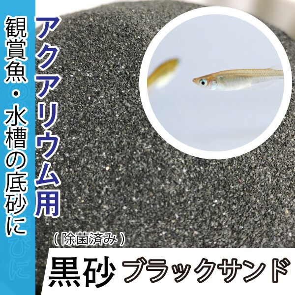 スノーホワイト 天然砂利1-5mm 20kg アクアリウム メダカ  グッピー Amazon.co.jp: スノーホワイト 天然砂利1-5mm 20kg アクアリウム