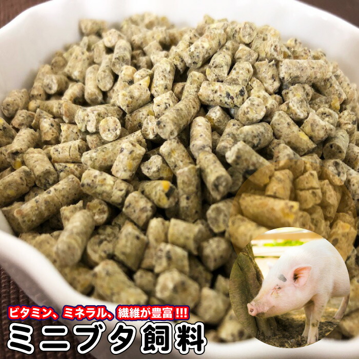 ミニブタ飼料 30kg 【再利用米袋使用】 ミニブタ ペレット マイクロブタ ビタミン ミネラル 繊維が豊富 フード 飼料 ペレット 送料無料【DBP】｜ウォッチ