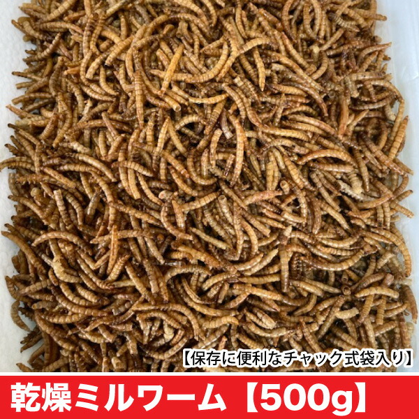 dry_mealworm500g.jpg