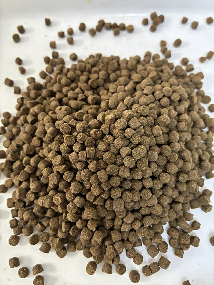 楽天市場】おとひめEP10(20kg)10〜8.0mm 肉食魚 肉食魚の餌 金魚