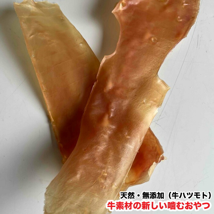 【1kg】 犬 噛むお兄ちゃん 生まれながら・無足し加える 牛原料品の事あたらしい噛むお兄ちゃん (牛ハツモト当てはめる) 牛アキレスより光の都市っと噛める 貨物輸送無料【DBP】