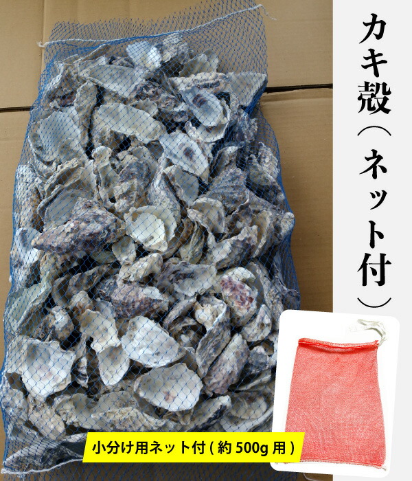 2袋セット かき殻 カキガラ 洗浄済み ネット入り 2袋 約6 5kg 2 約42l Ph調整 水質改善 小分け用ネット付き26枚 カキ殻 アクアリウム 送料無料 Kanal9tv Com