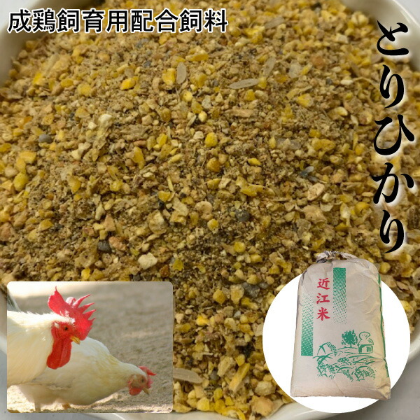 25kg にわとりの餌 肥料等に使えるお米 くず米 25kg 青米 小米 肥料 鳥の餌 飼料 玄米 安い 小動物