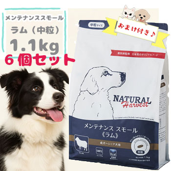 ニュートロ 特設ペイジ