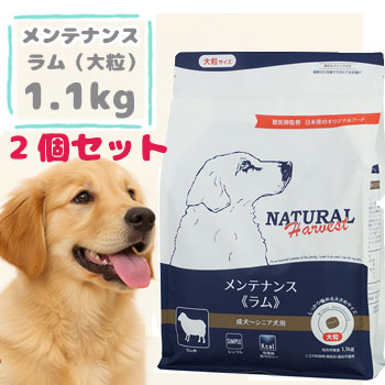 ナチュラルハーベスト　メンテナンス ラム　1.1kg×2袋セット　ドッグフード 大粒 成犬用 シニア犬用 低脂肪 アレルギー対応 低カロリー グルコサミン コンドロイチン配合 正規品