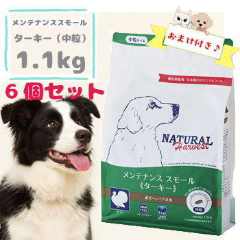 【おまけ対象商品】ナチュラルハーベスト　メンテナンススモール ターキー　1.1kg×6袋セット　ドッグフード 成犬 シニア犬 小型犬 ドライフード ペットフード グレインフリー 正規品 13,147円