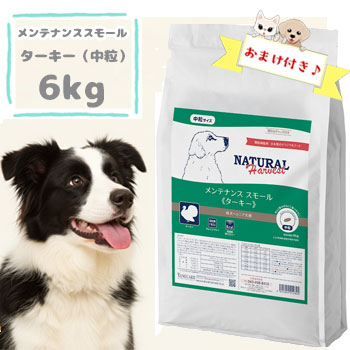 ニュートロ 特設ペイジ
