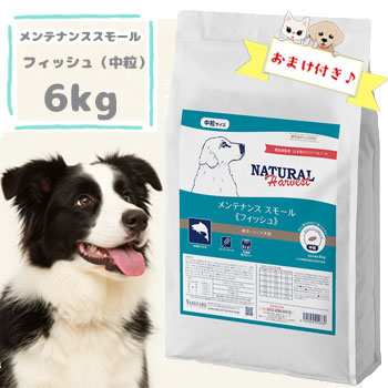 ニュートロ 特設ペイジ