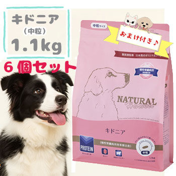 ニュートロ 特設ペイジ