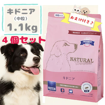 ニュートロ 特設ペイジ