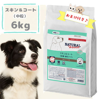 【おまけ対象商品】ナチュラルハーベスト　スキン&コート 6kg　ドッグフード パピー 幼犬 成犬 シニア犬 ドライフード ペットフード 皮膚 被毛 正規品
