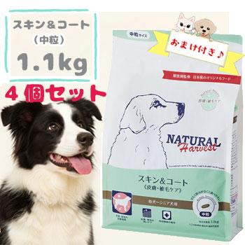 ニュートロ 特設ペイジ