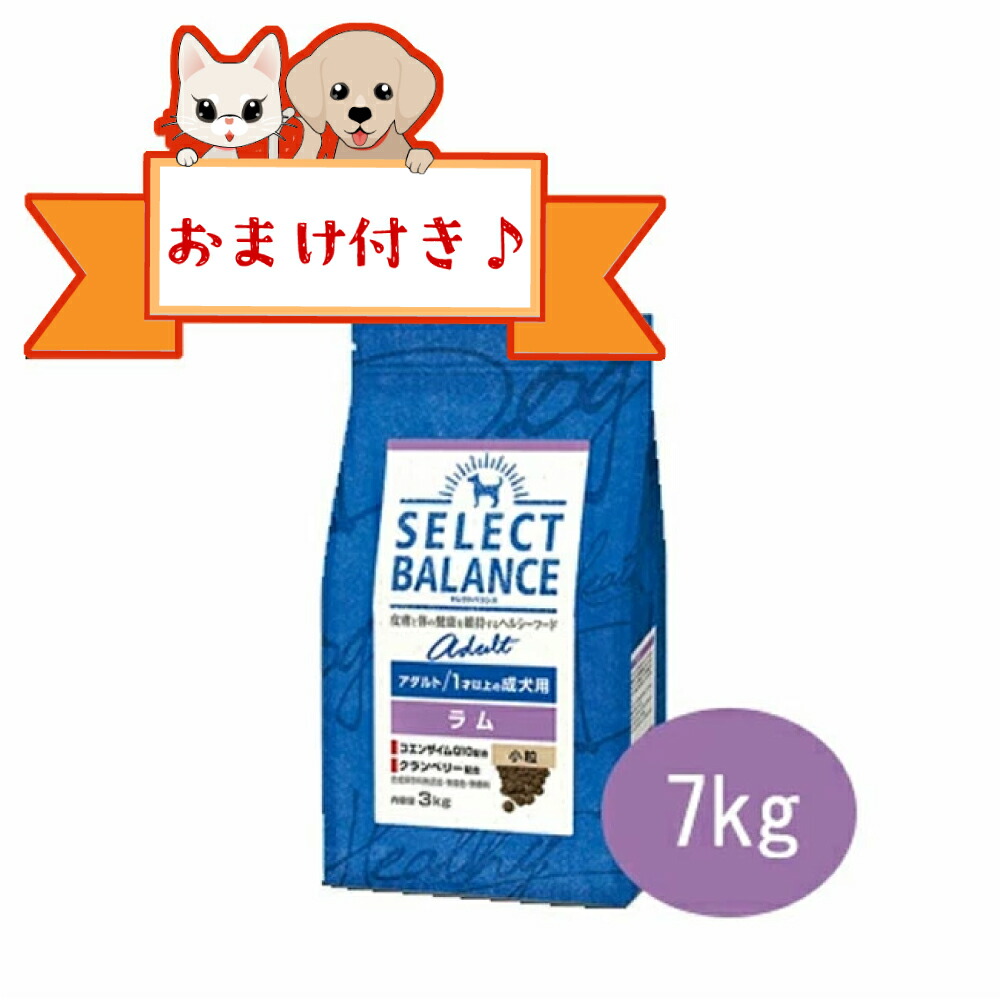 ★マラソン限定クーポン♪★【おまけ付】セレクトバランス アダルト ラム 小粒 7kg 1才以上の成犬用 ドッグフード プレミアムフード 小型犬用 中型犬用 低脂肪 栄養バランス 無添加 健康維持 セレクトバランスラム 正規品|ペット用品のペットウィル