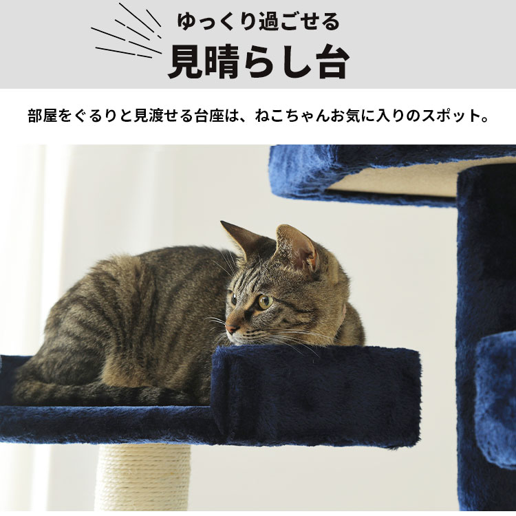 大人の上質 最安値に挑戦 キャットタワー 据え置き 猫 タワー ビッグ シニア 子猫 CTHR-61 高さ fucoa.cl