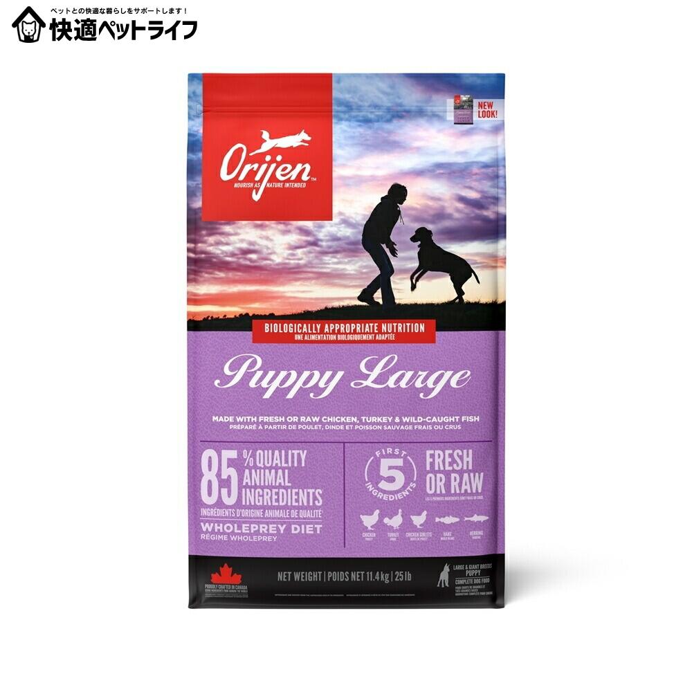 犬用 ドッグフード ORIJEN 開びゃく パピーラージ 11.4kg 禾穀類不当て嵌める 犬ころ 犬ころ 大型犬 プレミアムフードオリジン   【B】 [64992181123]