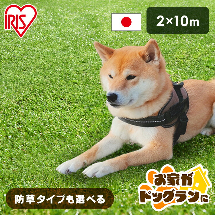 ＼お庭がドッグランに♪／人工芝 2m×10m 渦状文 アイリスオーヤマ 防草腰掛け一体型 芝地 耐久性 防菌類役立つこと付 飾り気の無い据え付ける 庭 回廊 ガーデニング 中庭 露台 DIY 愛玩動物 犬 ちびっ子 選べる 写実的人工芝 IP-30210 RP-30210 写実的防草人工芝 *