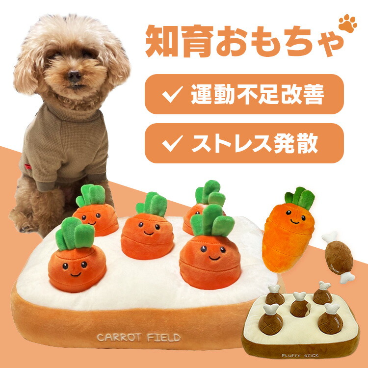 �Ρ������