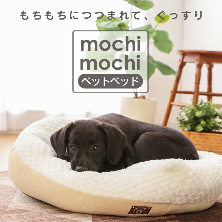 �������ڥåȥ٥å� ���ե����ɡ��ʥĥ��ե������֥�ɡ��ʥĥ��ե��������Х륽�ե�������åȥɡ��ࡦ�ɡ���