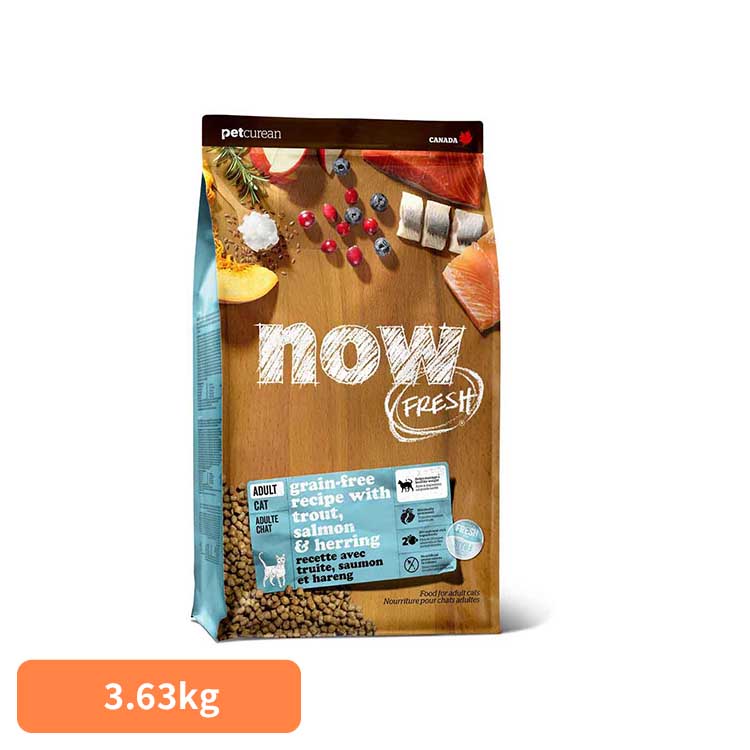 キャットフード ドライ ナウフレッシュ NOW FRESH フィッシュ アダルト キャット 成猫用 総合栄養食 3.63kg ミールフリー グレインフリー グルテンフリー 人工保存料 香料 着色料 不使用 猫 ドライフード ペットキュリアン *